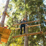 Pocono TreeVentures