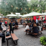Mountain Toad Brewing