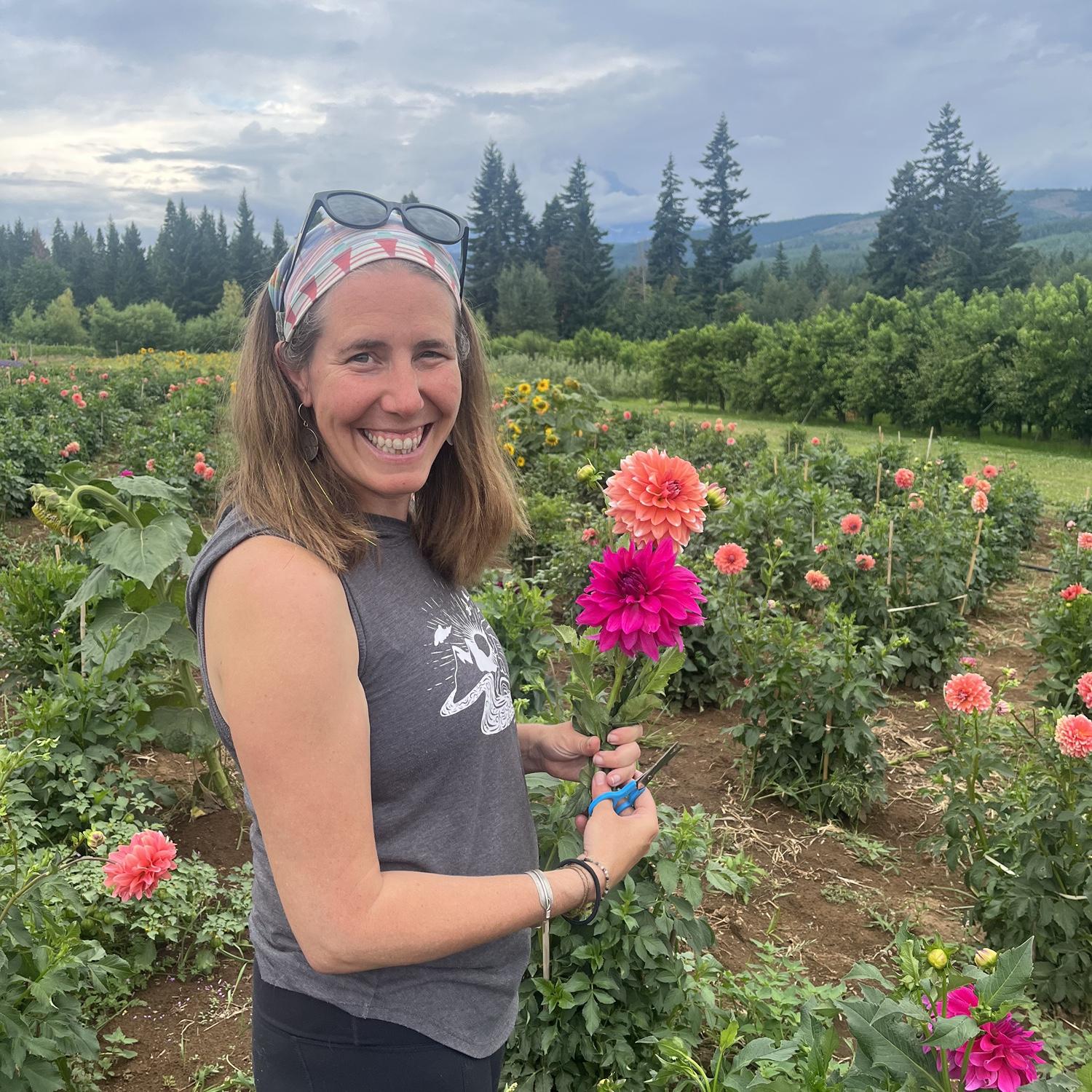 Dahlias at our wedding venue site, Mt. View Orchards, OR. August 2022.
