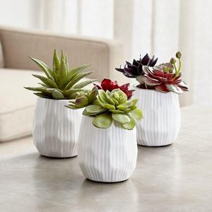 Potted Faux Succulent Plants (set of 3)