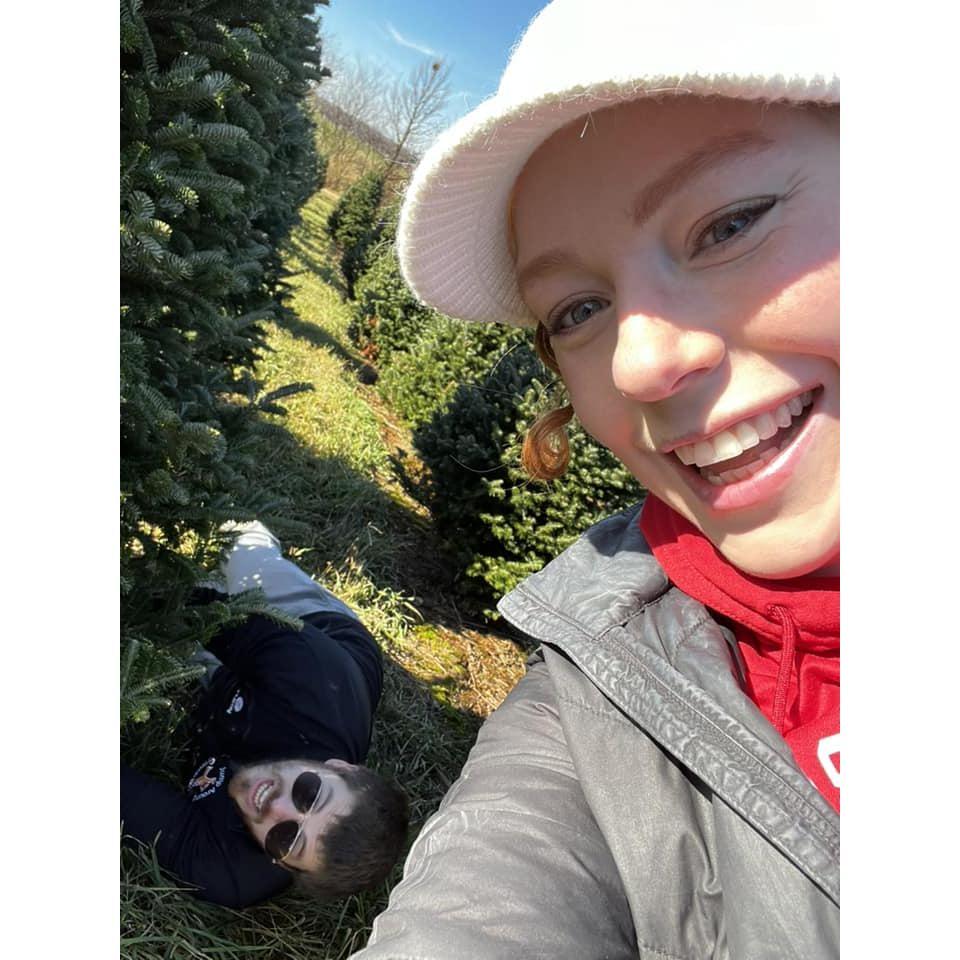 Cutting down a Christmas tree