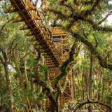 Myakka River State Park