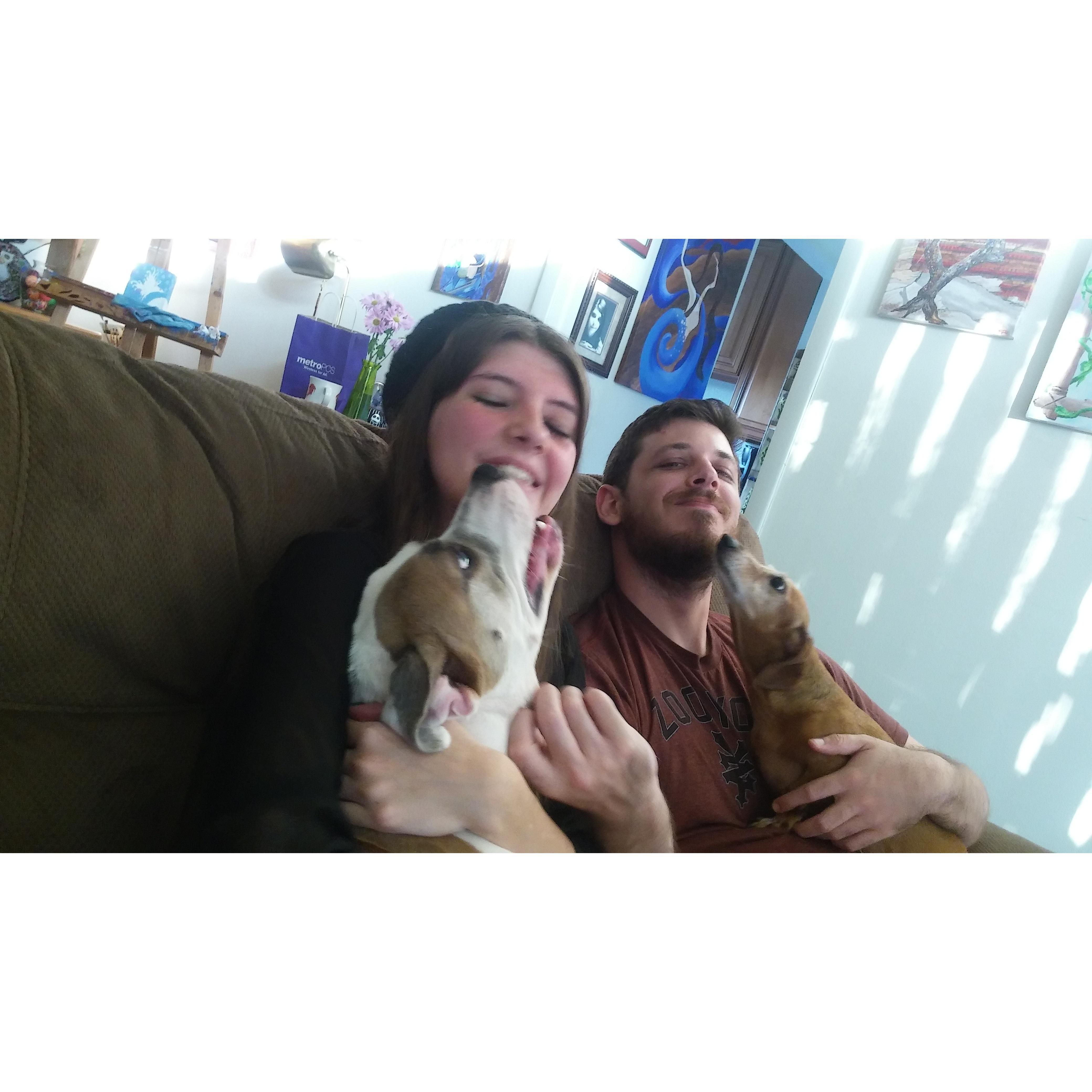 Puppies!