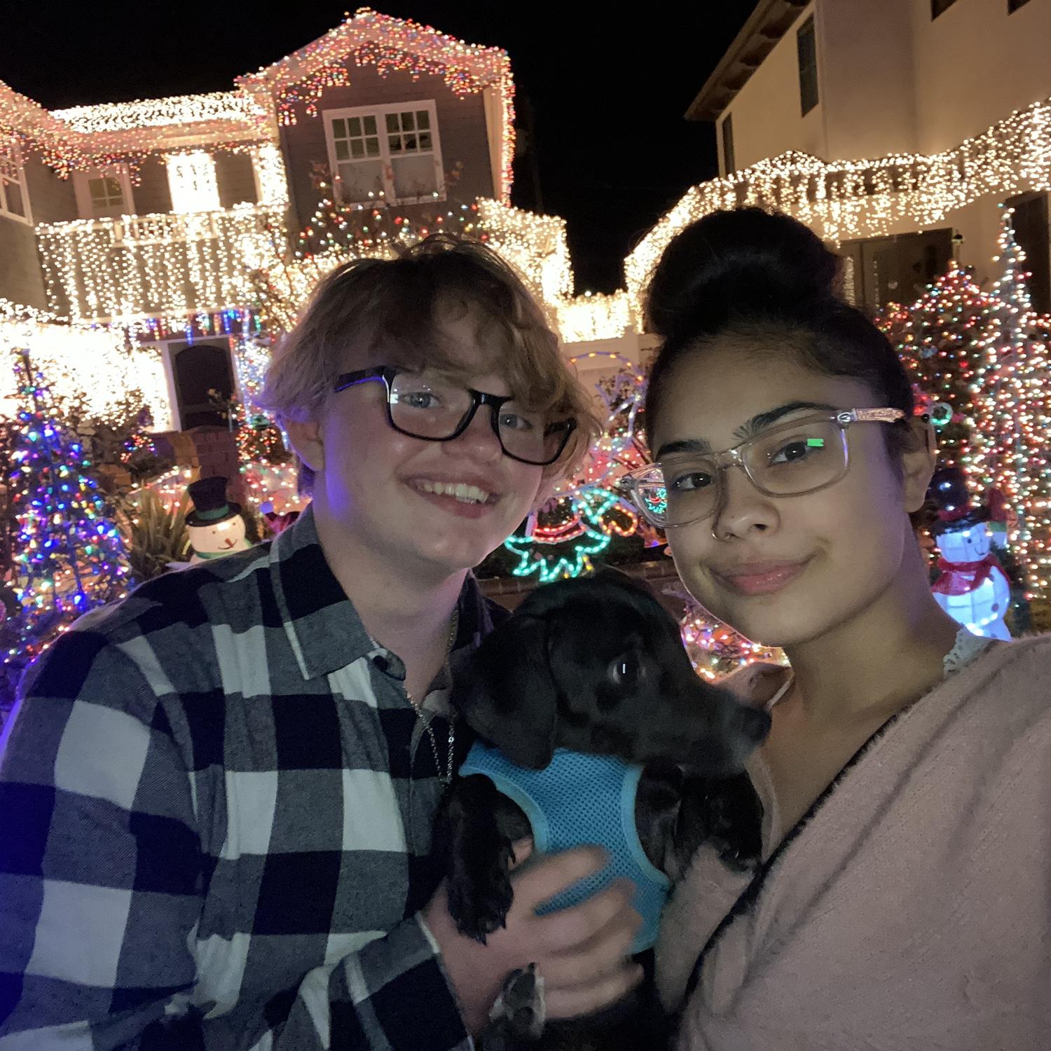 First time seeing Christmas lights together