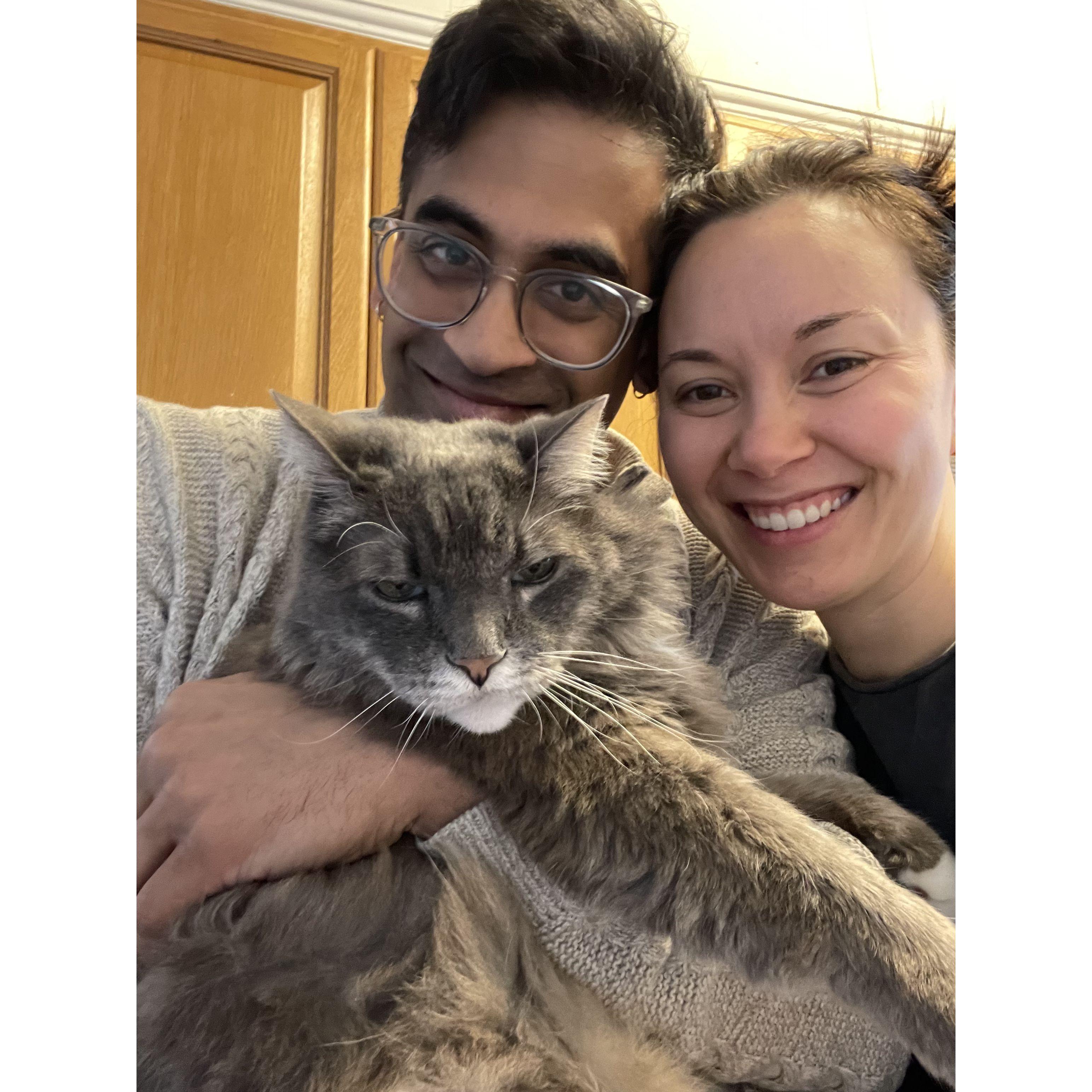 In rememberance of our sweet sweet Noni Bear who passed Feb 2024.