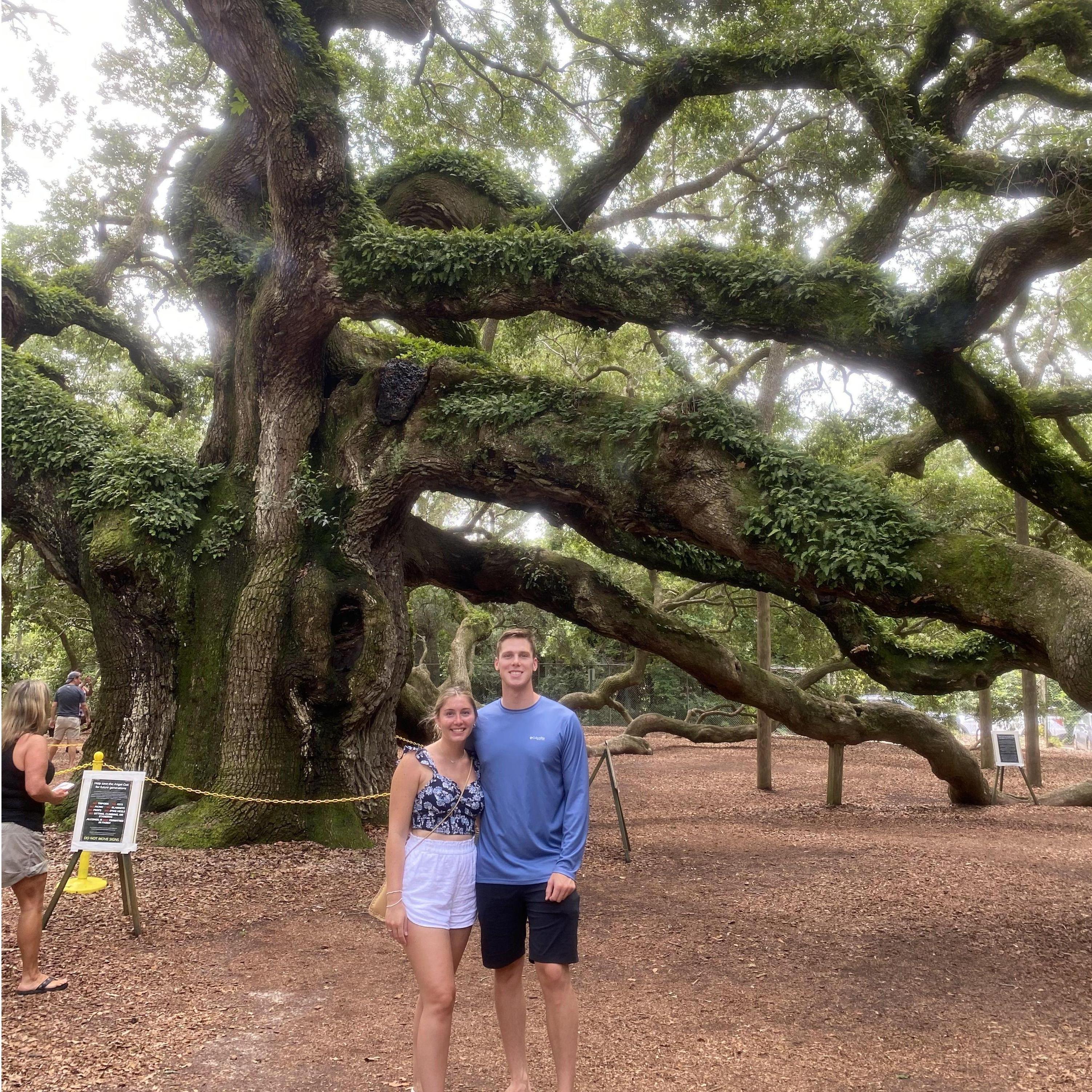 Angel Oak Tree in Charleston, SC!