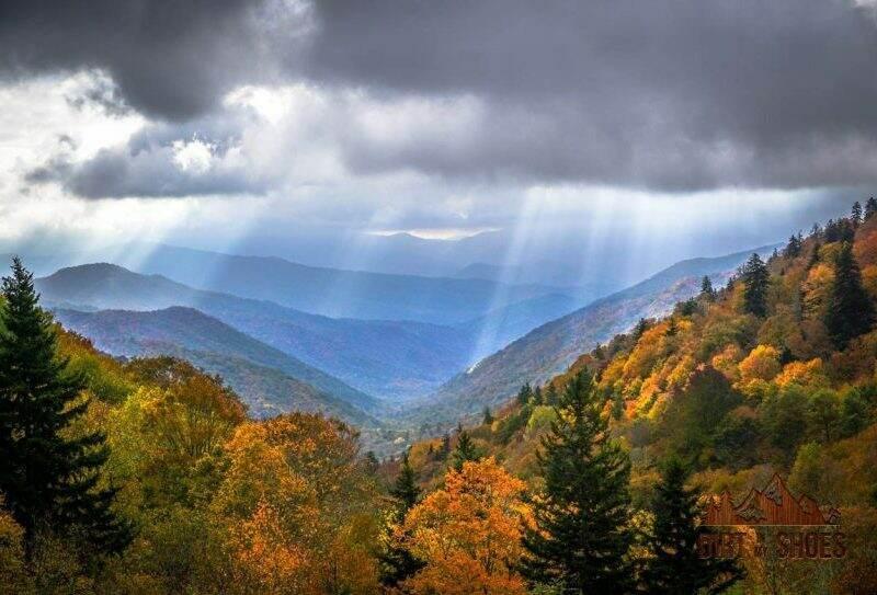 The Wedding Website of Ilyse Bourque and Zachary Godsey