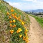 Take a Hike