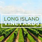 The Vineyards