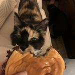 Bub's NOLA