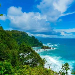 Corcovado National Park Guided Trip
