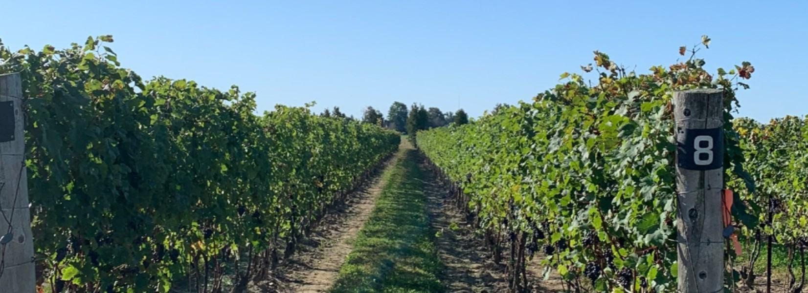 The Wedding Website of Kelsie McVeety and Kevin Sayre