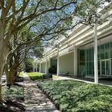 The Menil Collection
