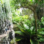 Cleveland Botanical Garden