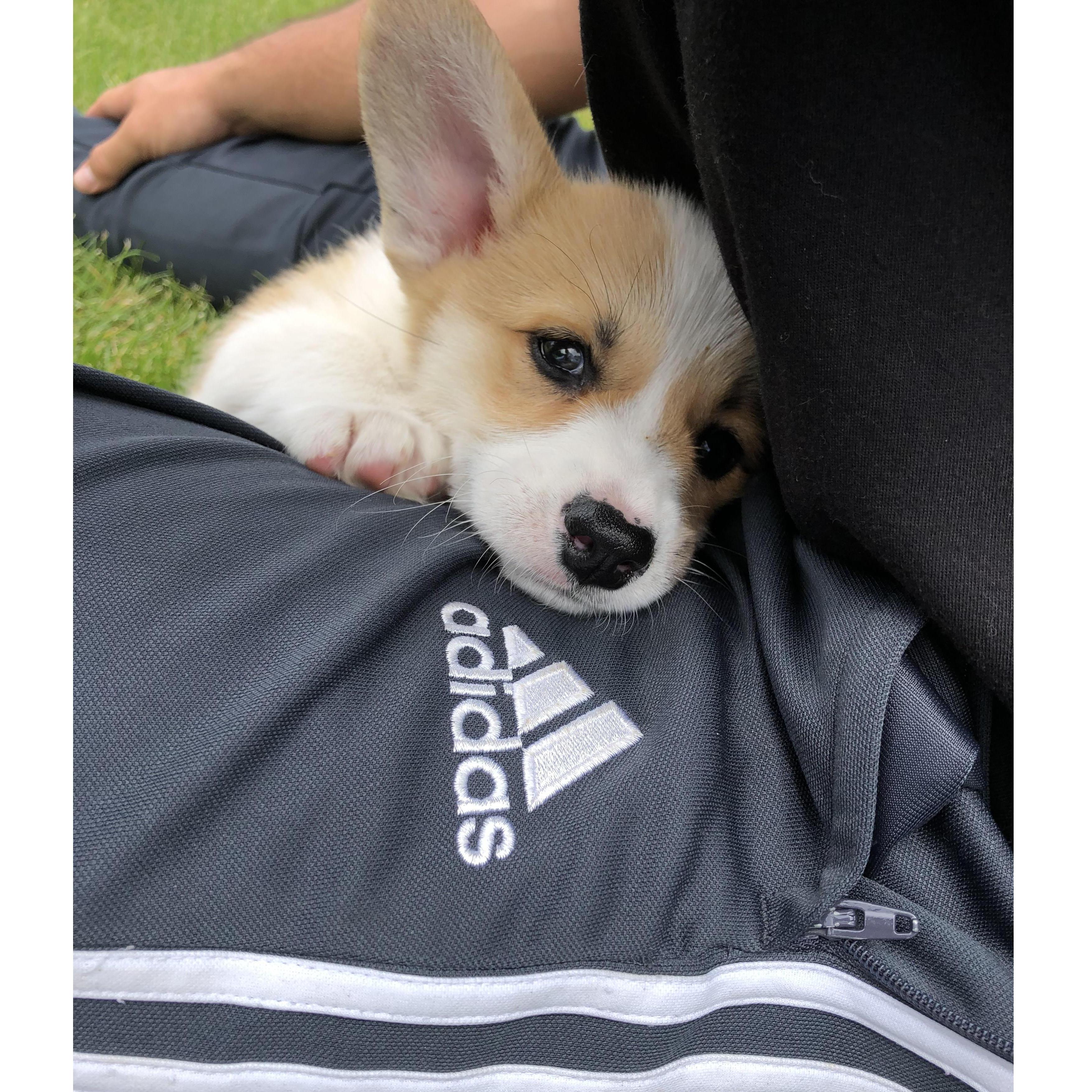 Zona's First Day! June 2019