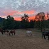 Reber's Ranch