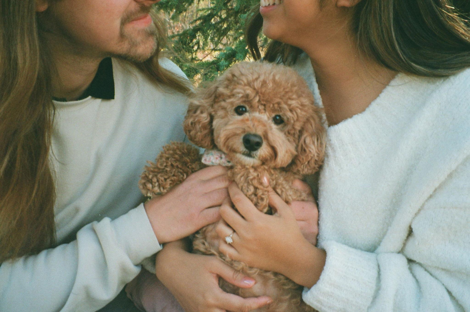 The Wedding Website of Katrina Sosa and Patrick Froese