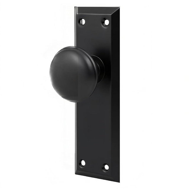 Ruigrit Dummy Door Knob Interior,One Side Handle with Long Plate, Vintage Plate Cover for Closet and Pantry, Matte Black Finish, 2 Pack