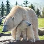 Columbus Zoo and Aquarium