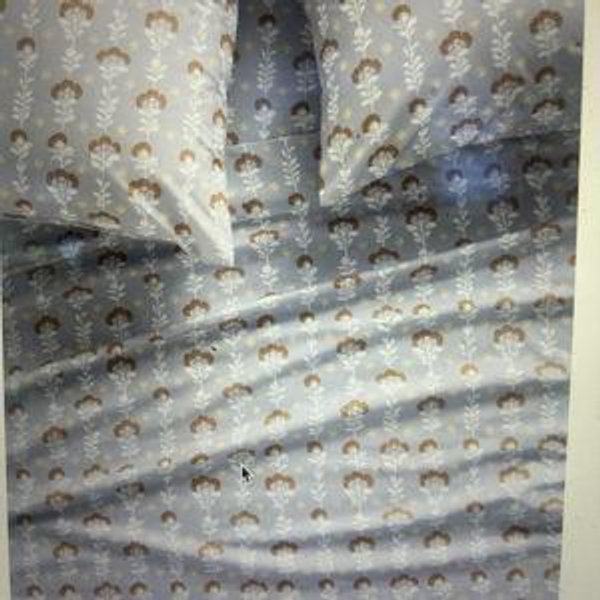 Organic Cotton Sateen Queen Printed Sheet Set