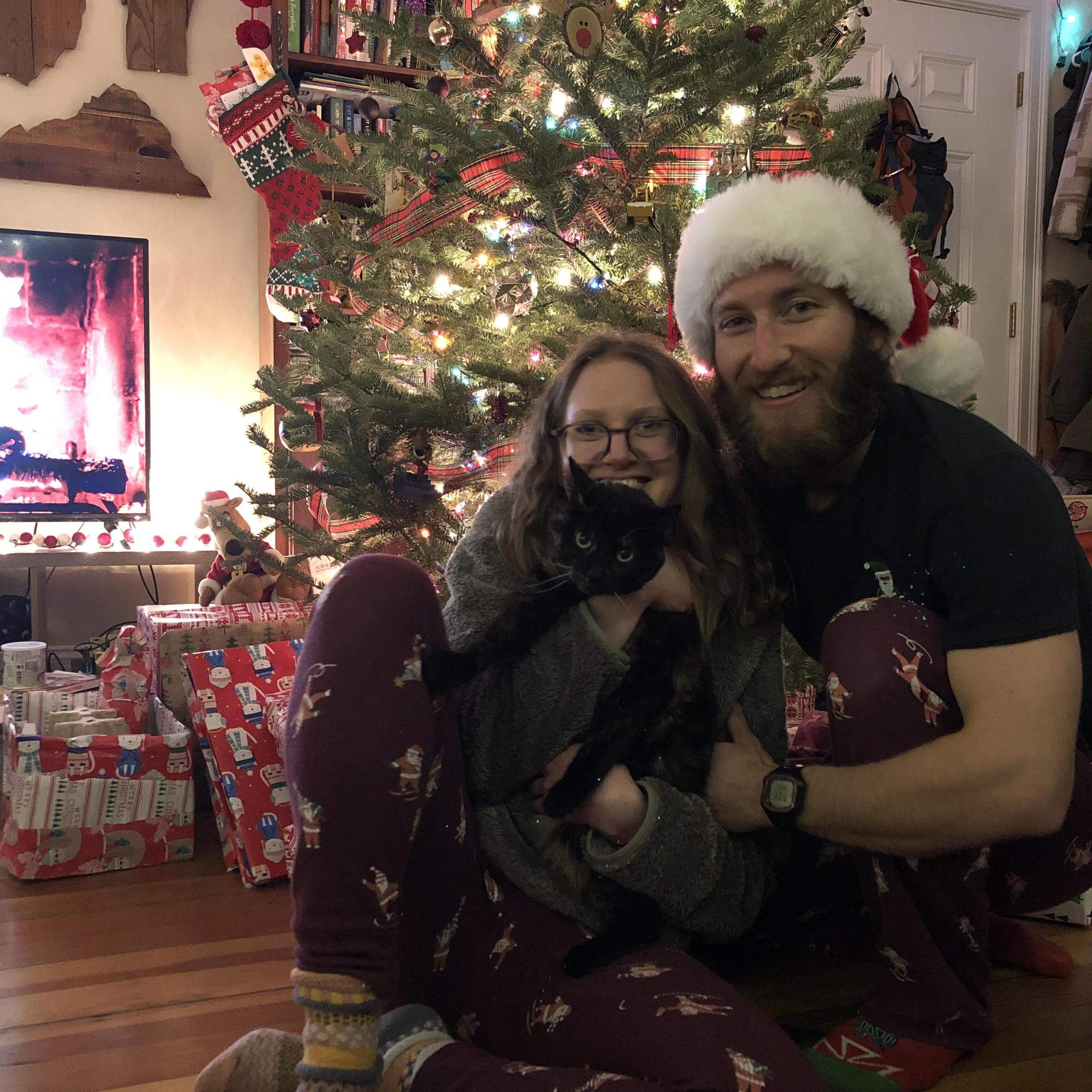 Meowy Christmas 2020