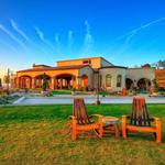 DAOU Vineyards