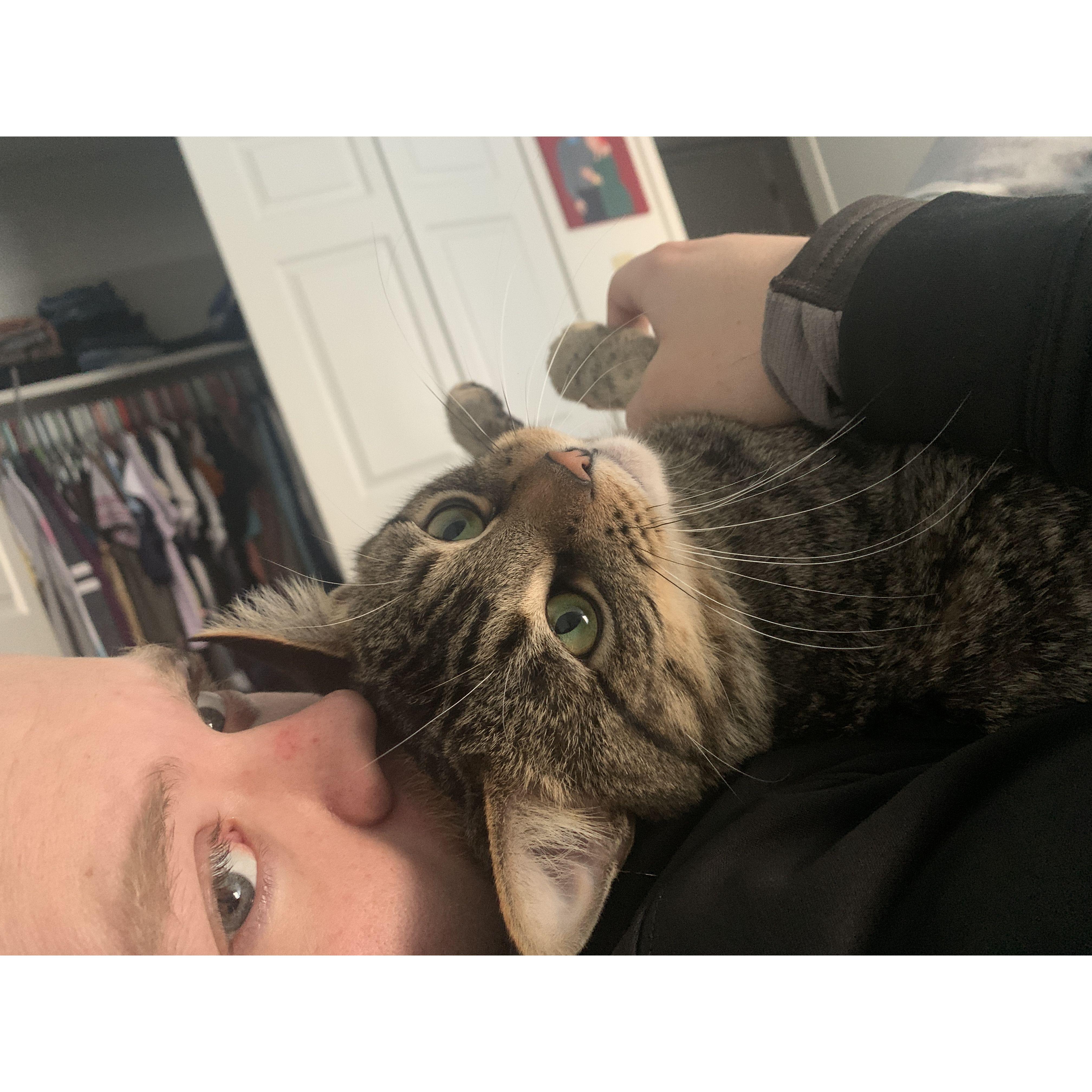 2022. Harry joins our family. Riley becomes a forever cat dad.