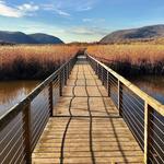 Constitution Marsh Audubon Center and Sanctuary