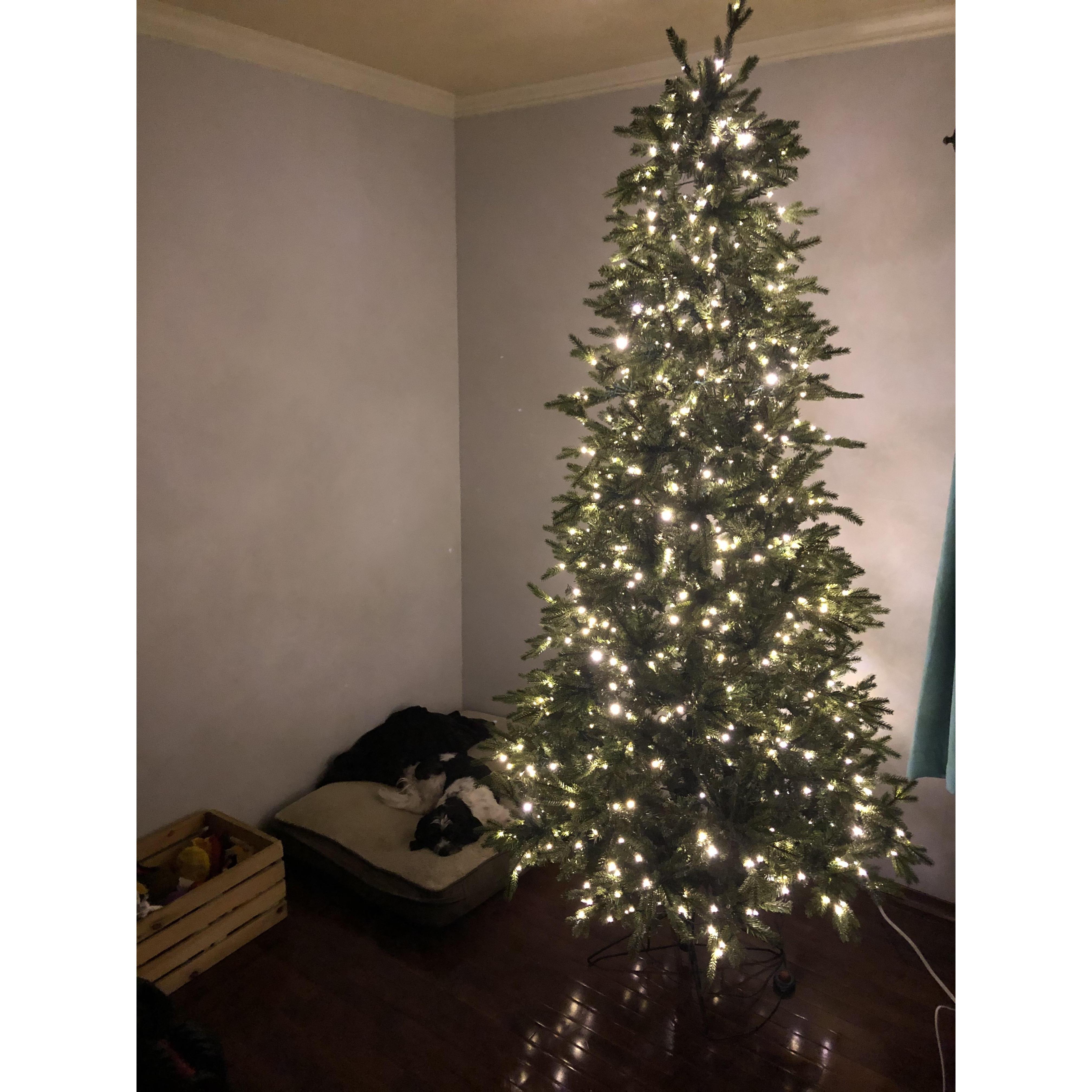 Our first Christmas Tree in Suffern, NY.