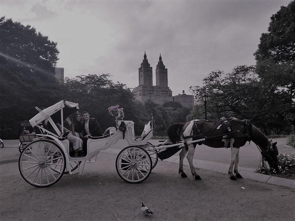 The Wedding Website of Danielle Nicosia and Ethan Aguiar