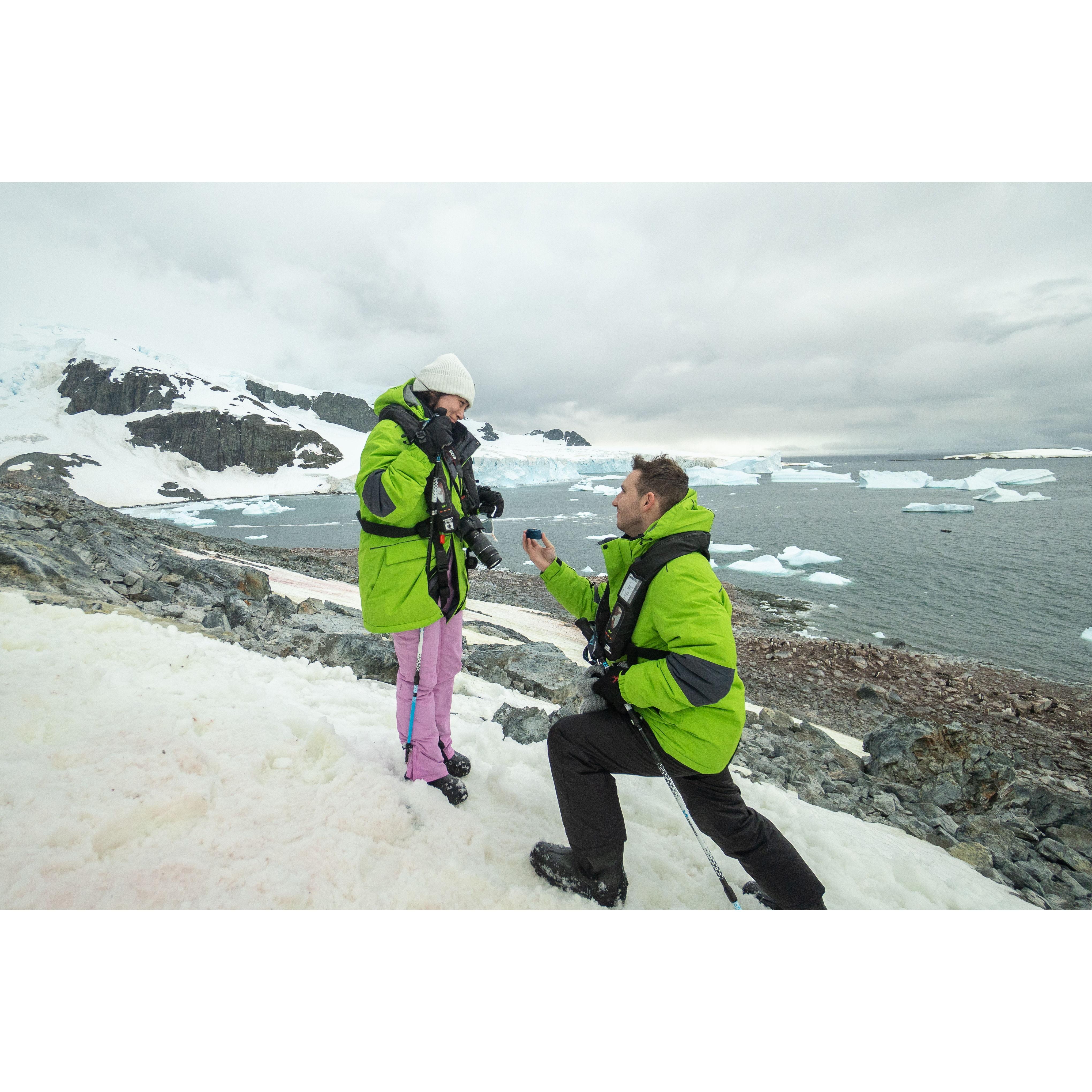 Antarctic proposal