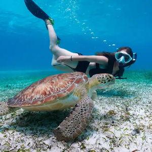 Honeymoon Snorkeling/Scuba Excursion
