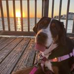 Harvey Cedars Sunset Park