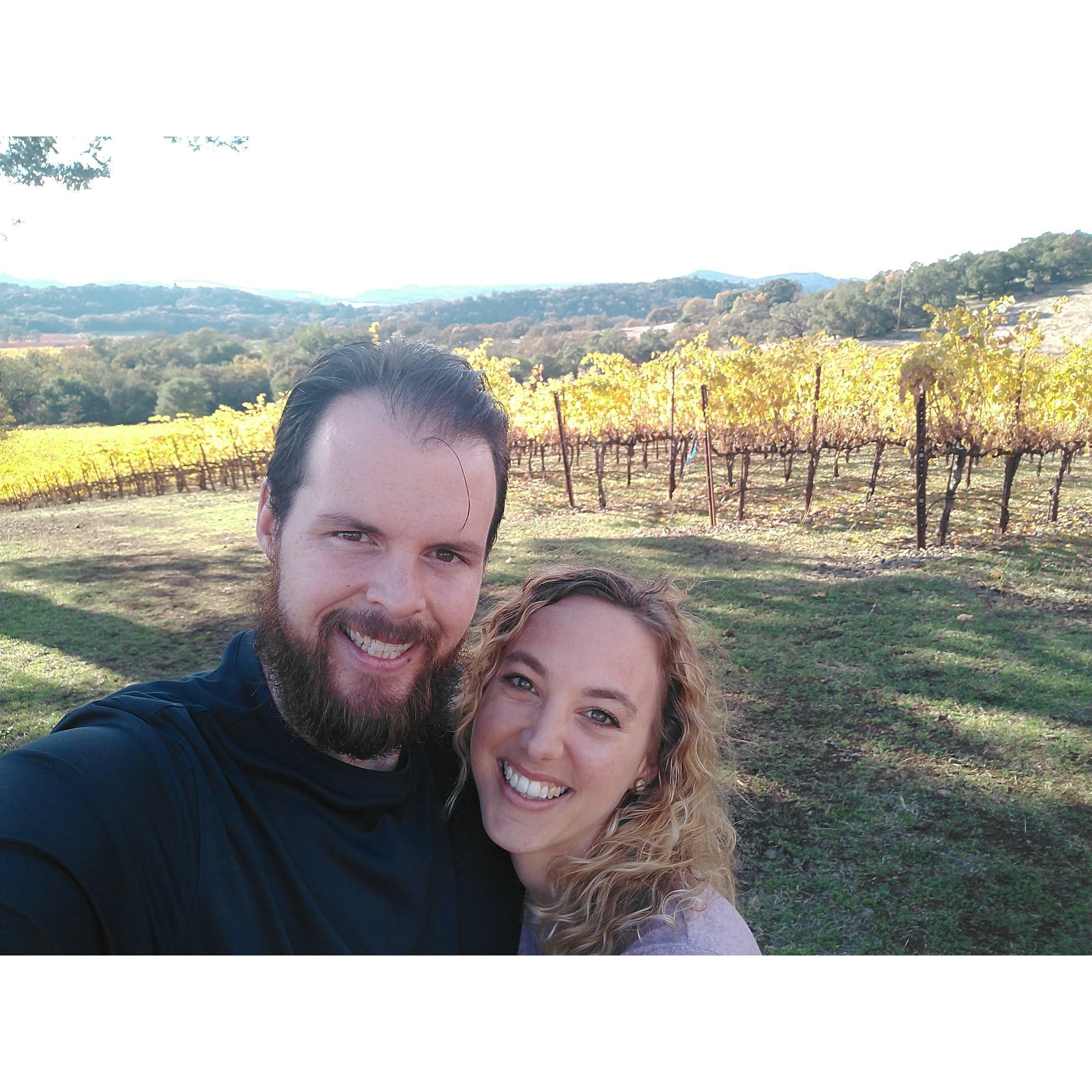 A beautiful sunlit Sonoma day at harvest time