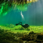 Diving Cenotes