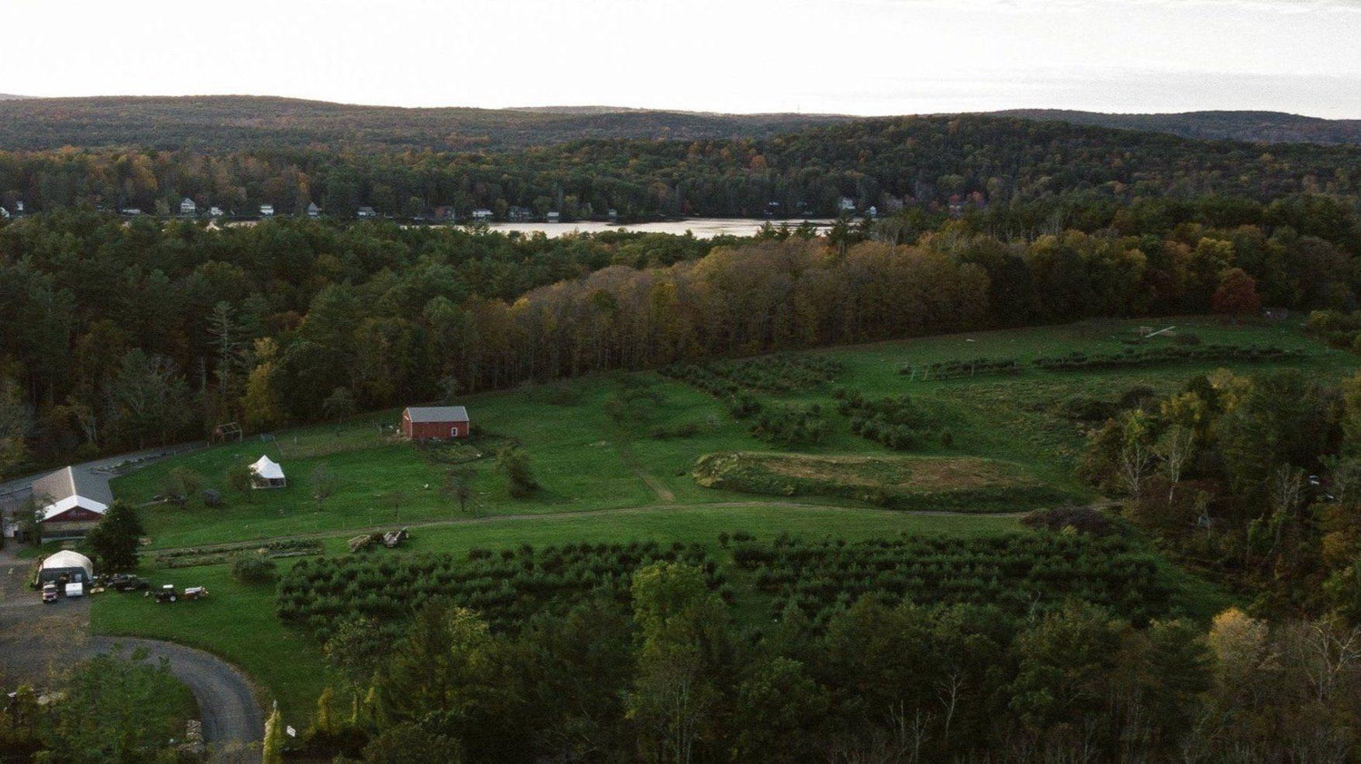 The Wedding Website of Grafton Brown and Erika Flannery