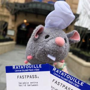 Disney Fast Passes