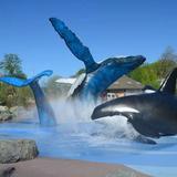 Omaha's Henry Doorly Zoo and Aquarium