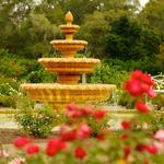 Harry P Leu Gardens
