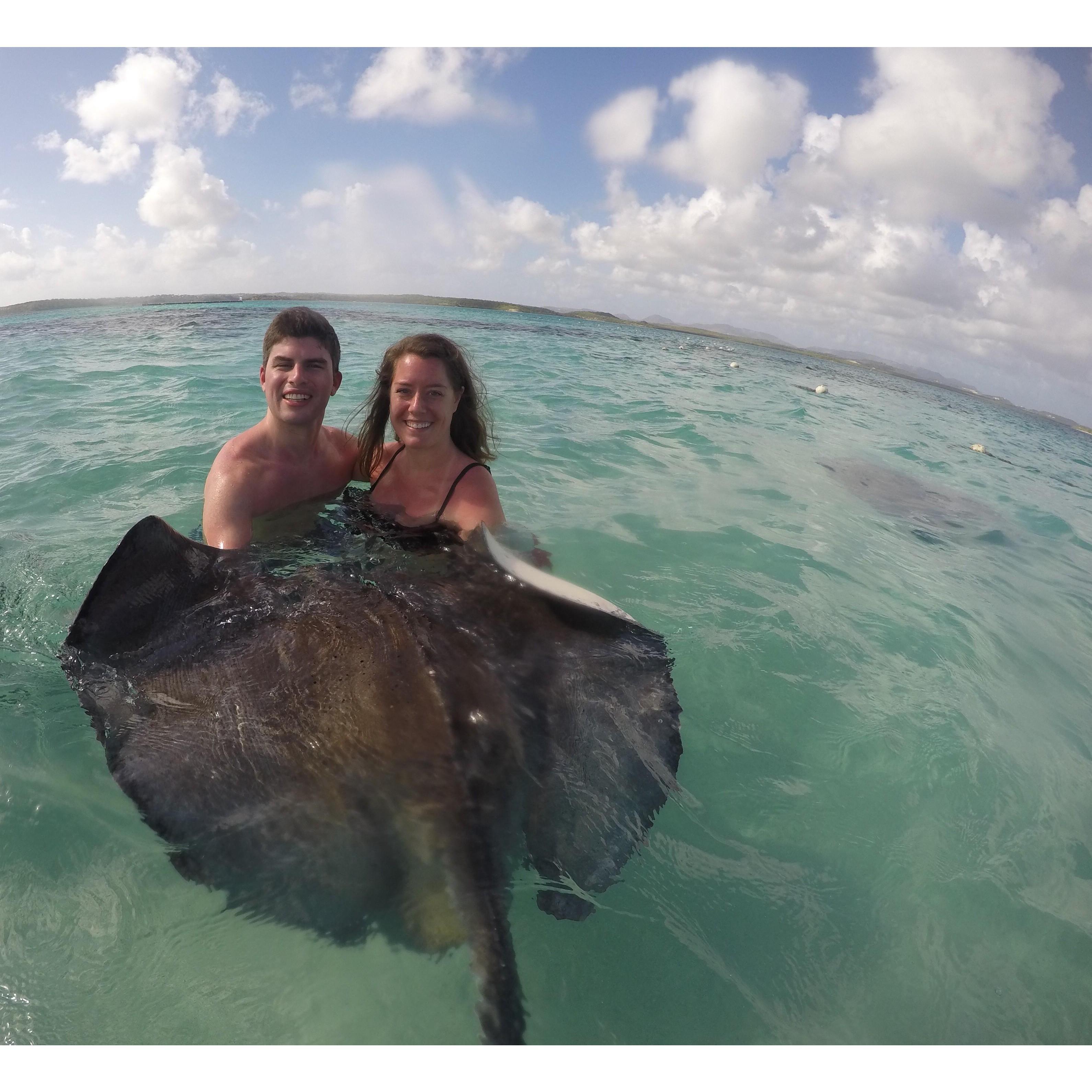Sting Ray City, Antigua