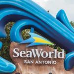 Seaworld San Antonio