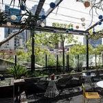 Loop Roof & Loop Top