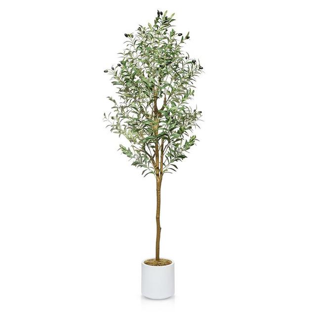 Cozy Flora Artificial Olive Tree - 6FT Tall (72 Inches) - Faux Potted Silk Olive Tree Plant for Indoor Home Decor - for Home Decor - Made with 50% Thicker, Fuller Leaves & Branches