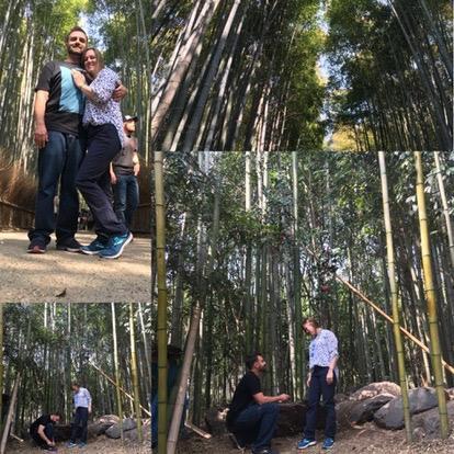 Our engagement in the Bamboo Forest in Kyoto Japan!