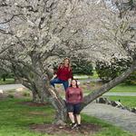 Stanley Park