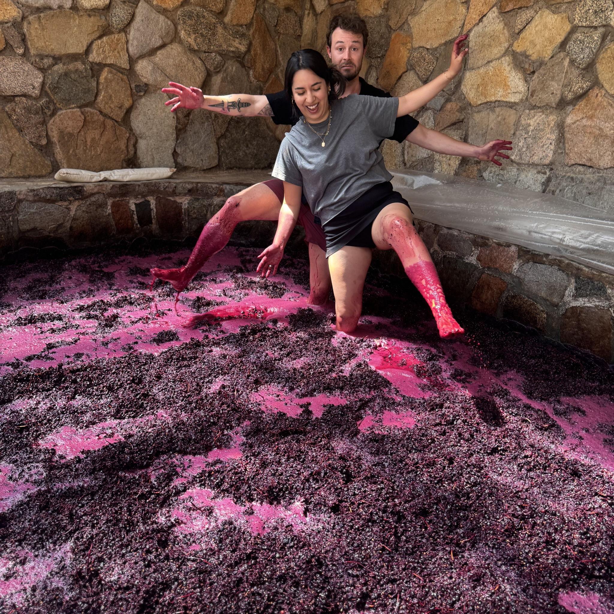 Grape stomping in Alcohuaz, Chile, 2025!