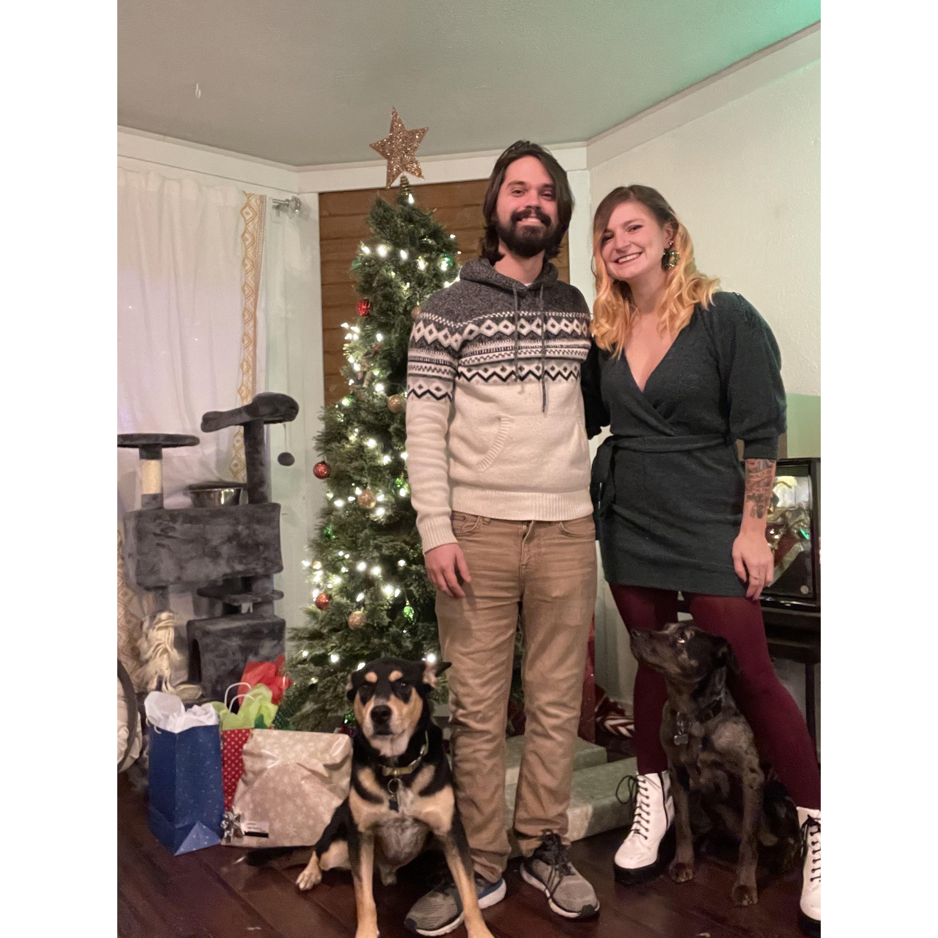 First Christmas in our home! (no, Lupin, the dog in front of Darby, never looks at the camera)