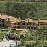Visit a Winery