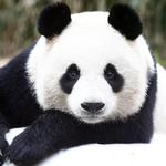 San Diego Zoo