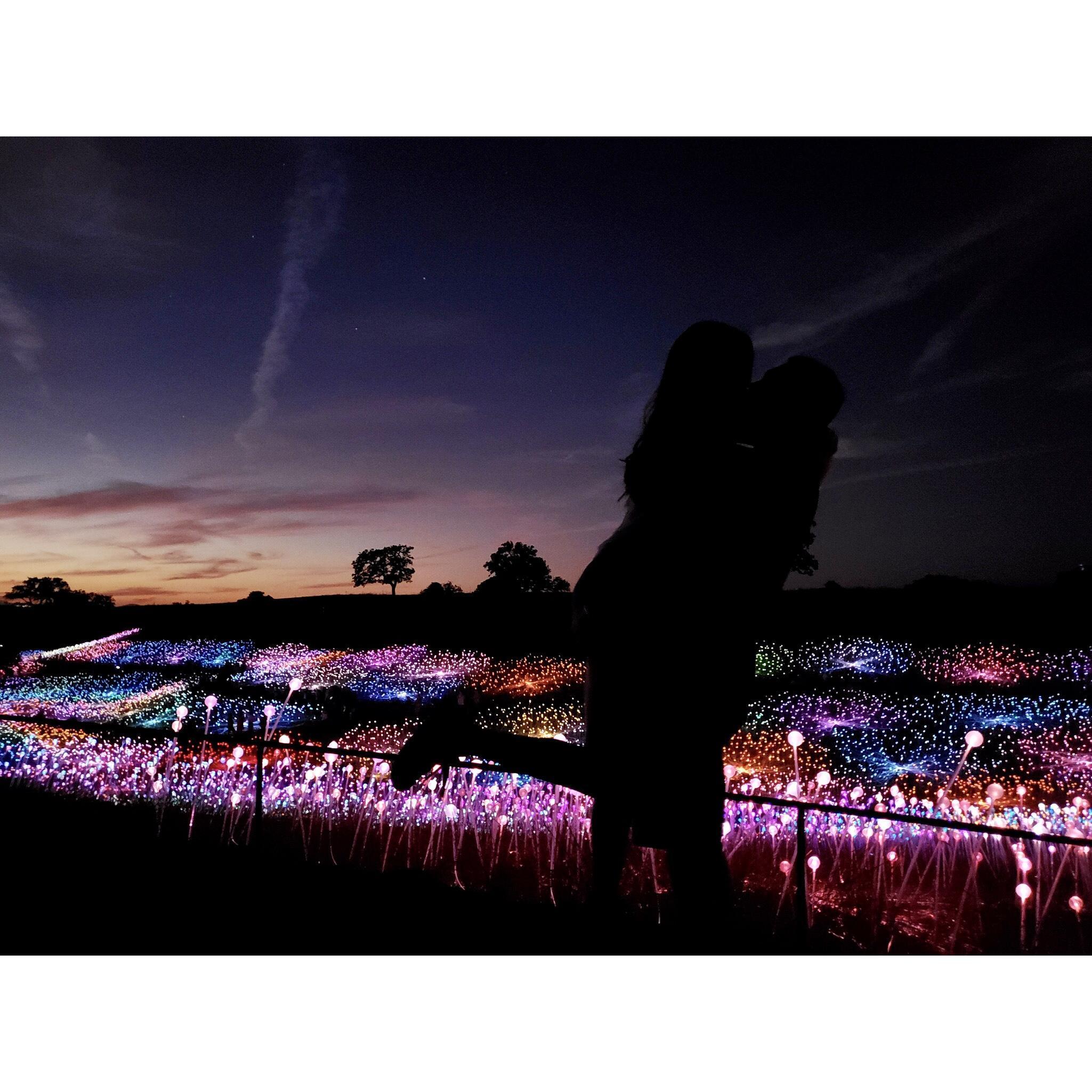 The Proposal (Sensorio: Field of Lights by Bruce Munro - Paso Robles, CA)
